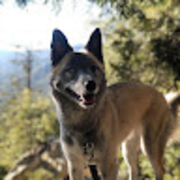 Meet your Posher, Monica - Picture 1 of 1